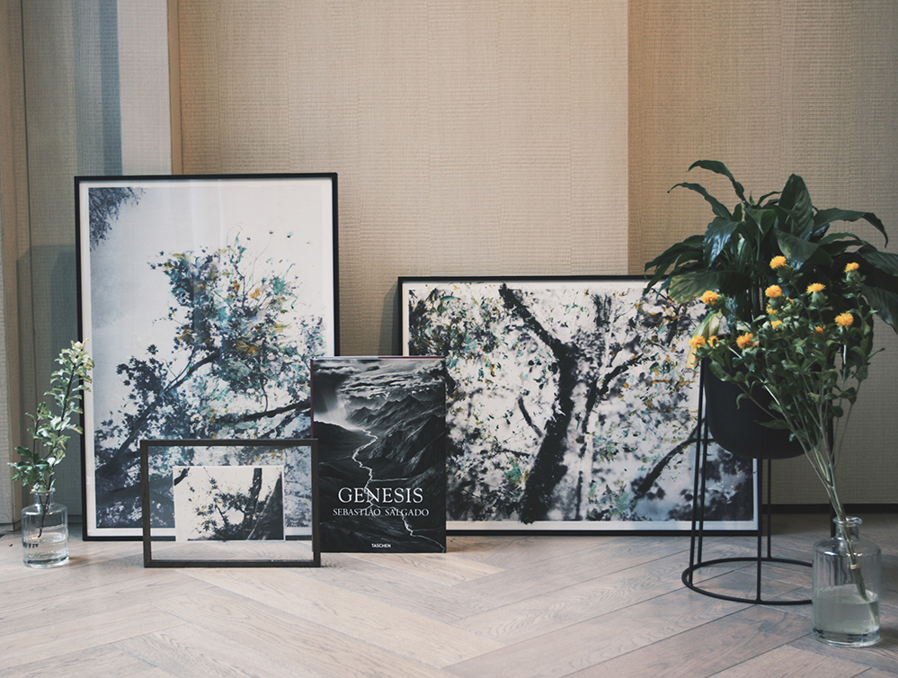 Queenie Rosita Law brings her photography works to Cobo House